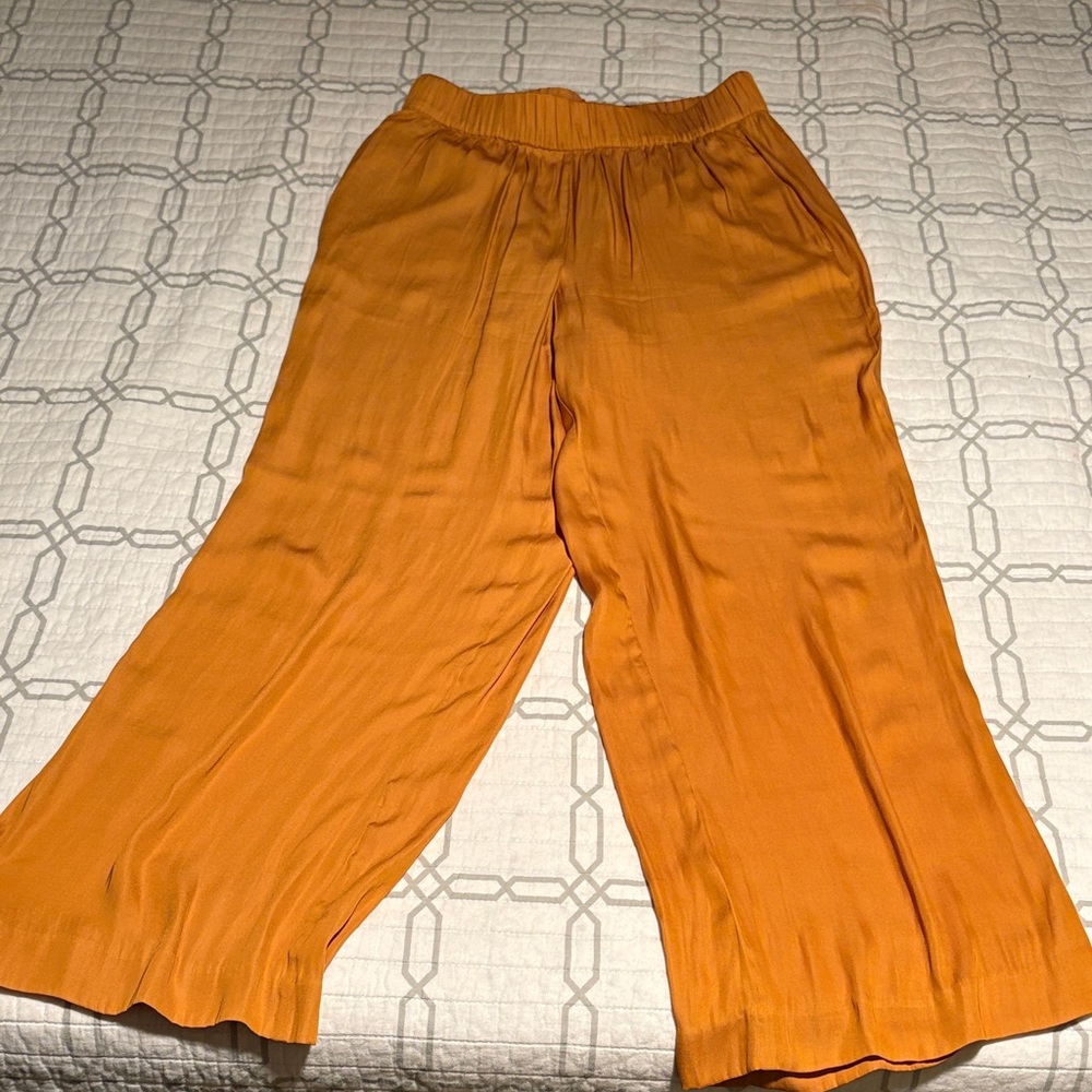 Ann Taylor Mustard/Gold silky pants with pockets